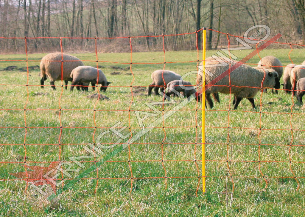 Electric netting for sheep - CLASSICNET