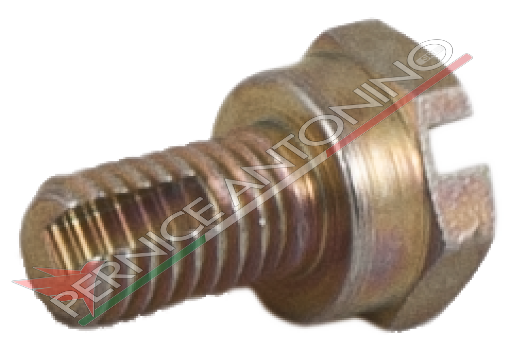 BOSCH BLEED SCREW