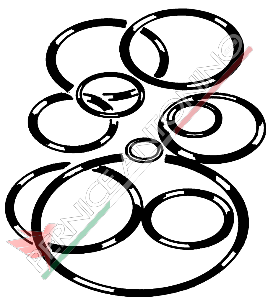 RINGS FOR FIAT