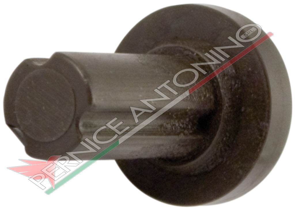 FUEL PUMP VALVE