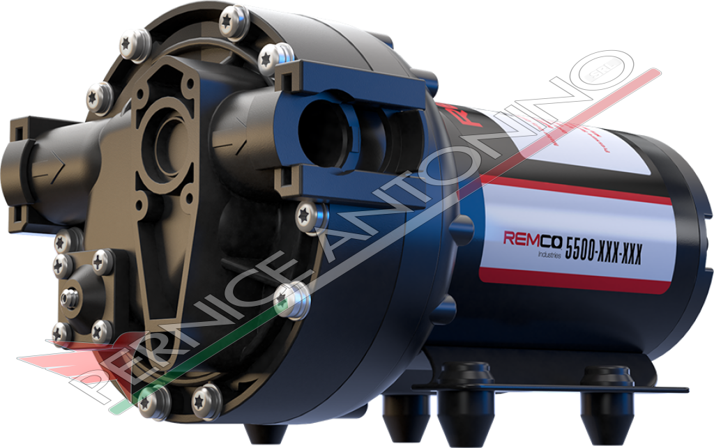 Electric pump with 5 diaphragm and pressure meter