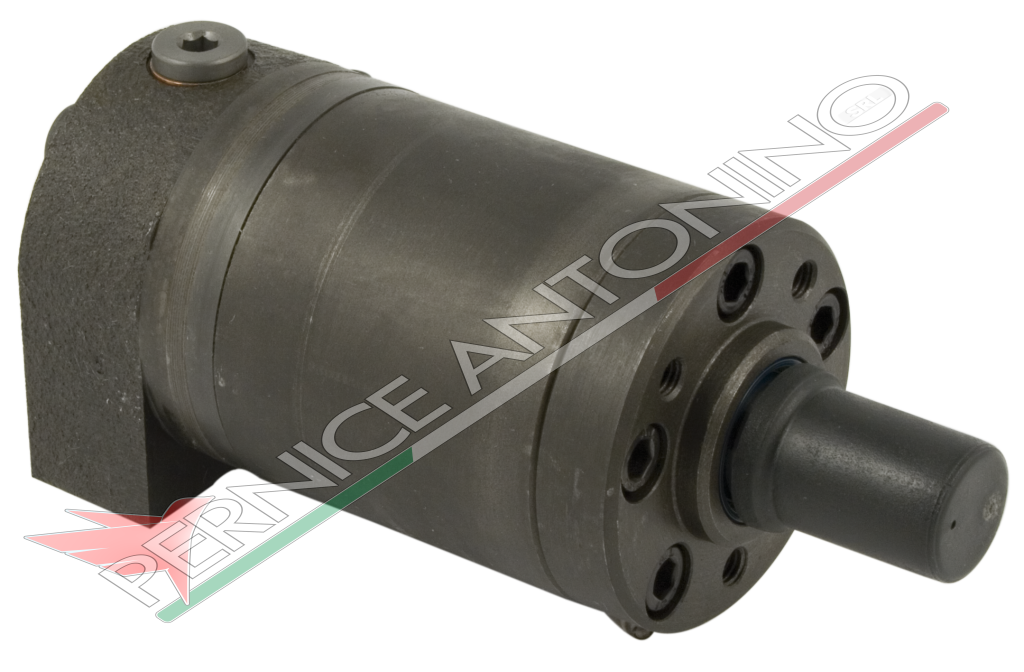 Hydraulic motor