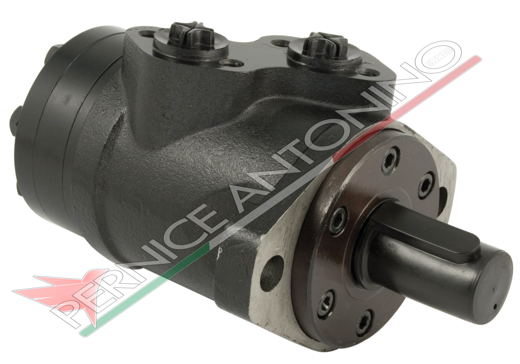 Hydraulic motor