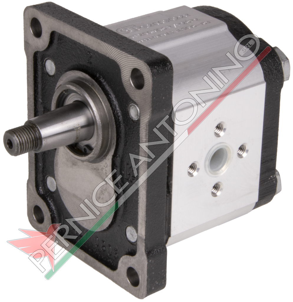 Two-way gear motor GROUP 2