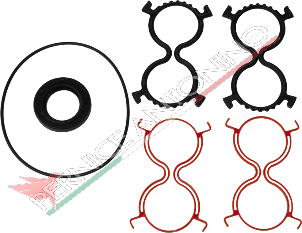 Gasket kit for hydraulic pumps