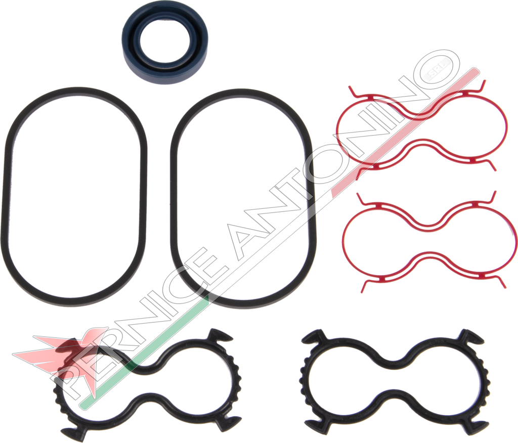 Gasket kit for CASAPPA PLM20