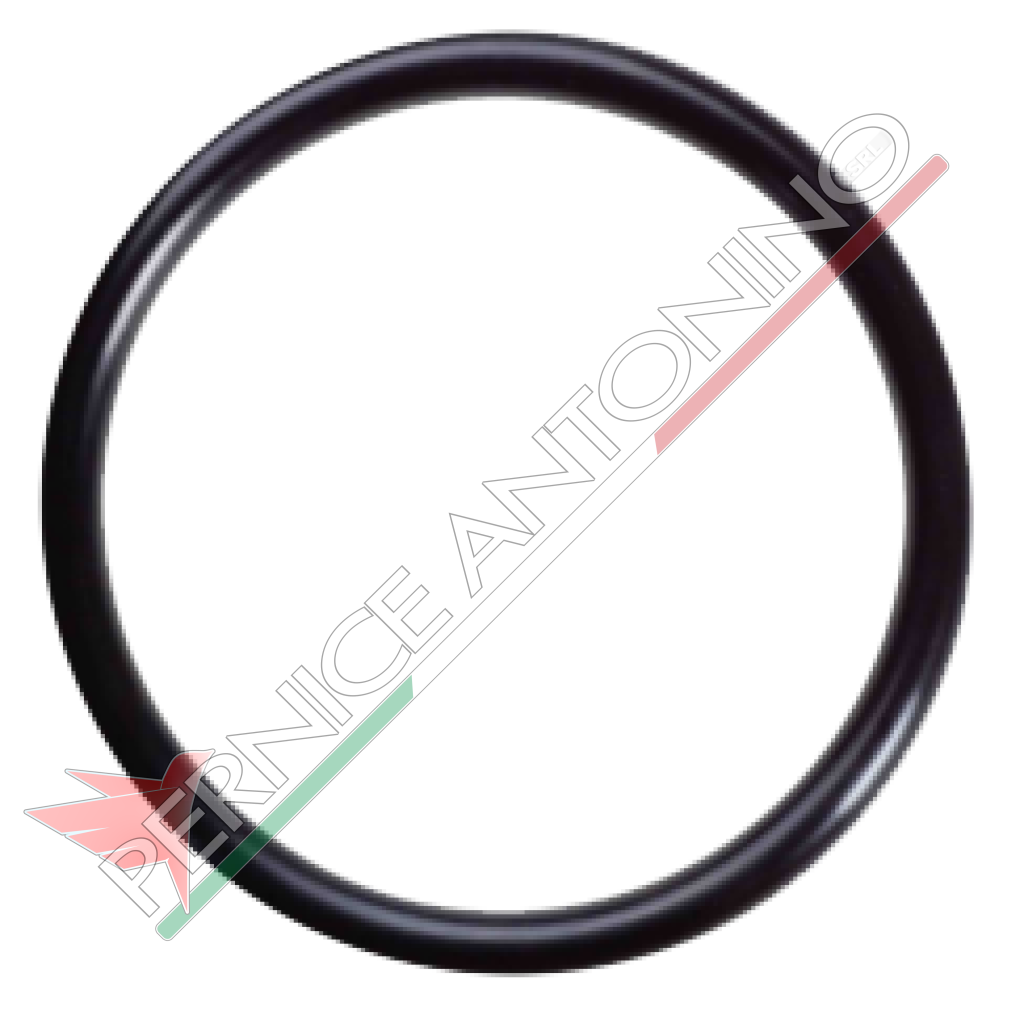 guarnizione O-RING 