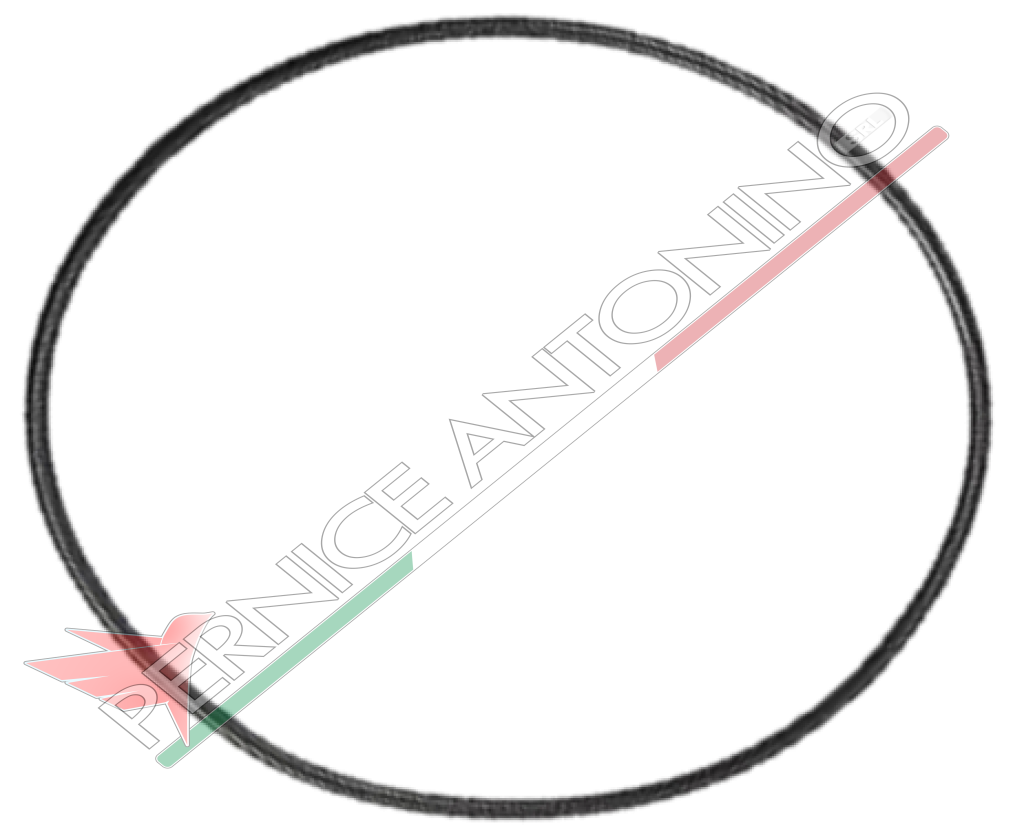 O ring 37.77x2.62 per pompa 904028 - 904169