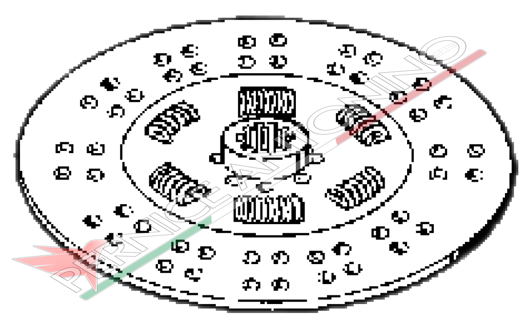 Clutch disc with springs