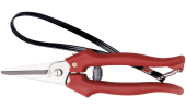 GRAPE SHEARS